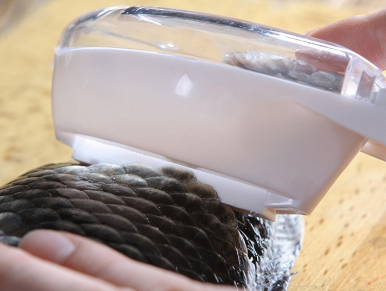 ScaleGuard™ Fish Scaler